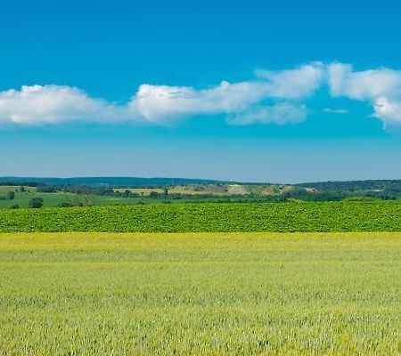 Hortenzia Vendeghaz Mor Lägenhet Exteriör bild